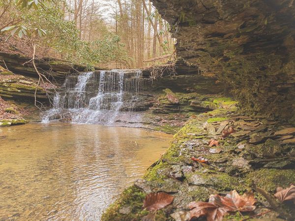 0 Cherokee Trail , Wartburg, TN 37887