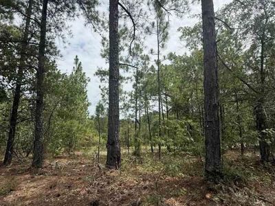 TBD Sheridan Oliver Road, Ruby, SC 29741