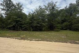 Tbd Sheridan Oliver Road photo 4