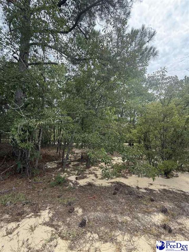 Tbd Sheridan Oliver Road Photo 4