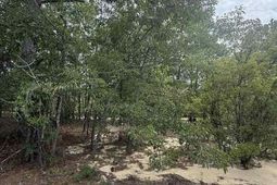 Tbd Sheridan Oliver Road photo 4