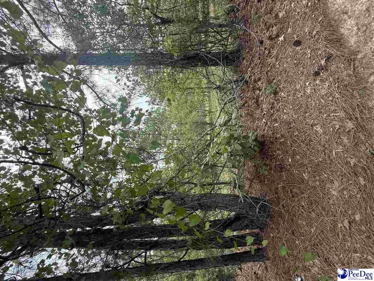Tbd Sheridan Oliver Road Photo 5