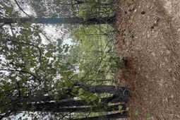 Tbd Sheridan Oliver Road photo 4