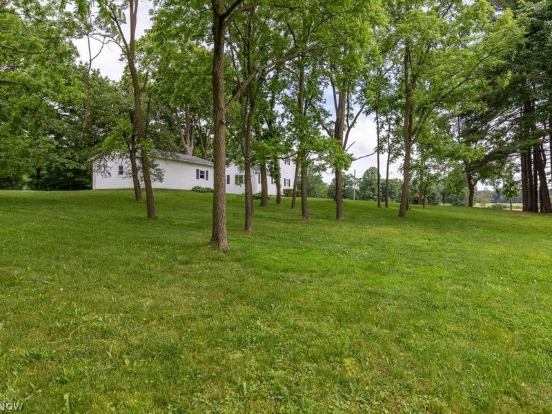 7377 Pontius Street NE, Hartville, OH 44632 Photo 39