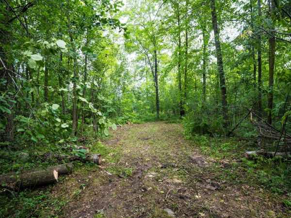 7xxx 200th St. , Milaca, MN 56353