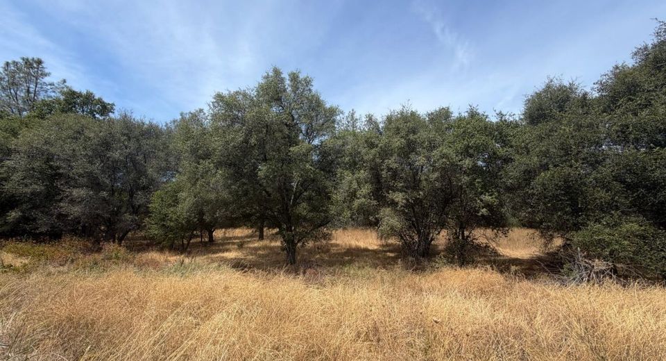 Horseshoe Bar Rd, Loomis, CA 95650 Photo