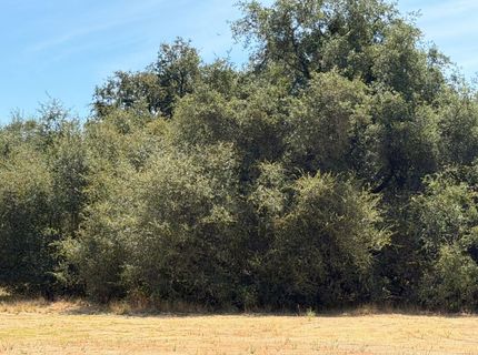 3975 Dawn Dr, Loomis, CA 95650 Photo