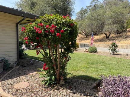 3945 Dawn Dr, Loomis, CA 95650 Photo