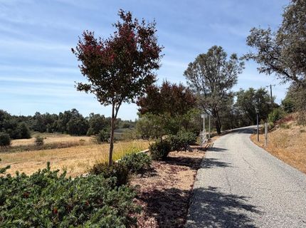 3945 Dawn Dr, Loomis, CA 95650 Photo