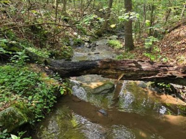 574 MOUNTAIN SLOPE LN., FORT VALLEY, VA 22652