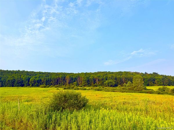 299 WALT PHILLIPS , Call Listing Agent, NY 13460