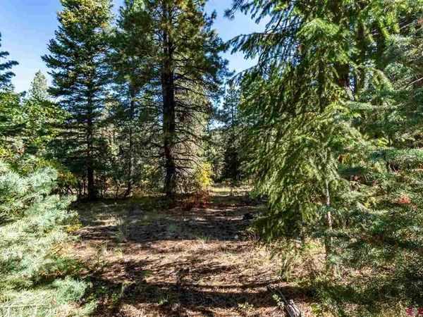 307 Nature's Way, Pagosa Springs, CO 81147