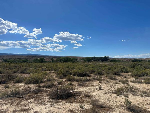 523 Desert Road, Whitewater, CO 81527