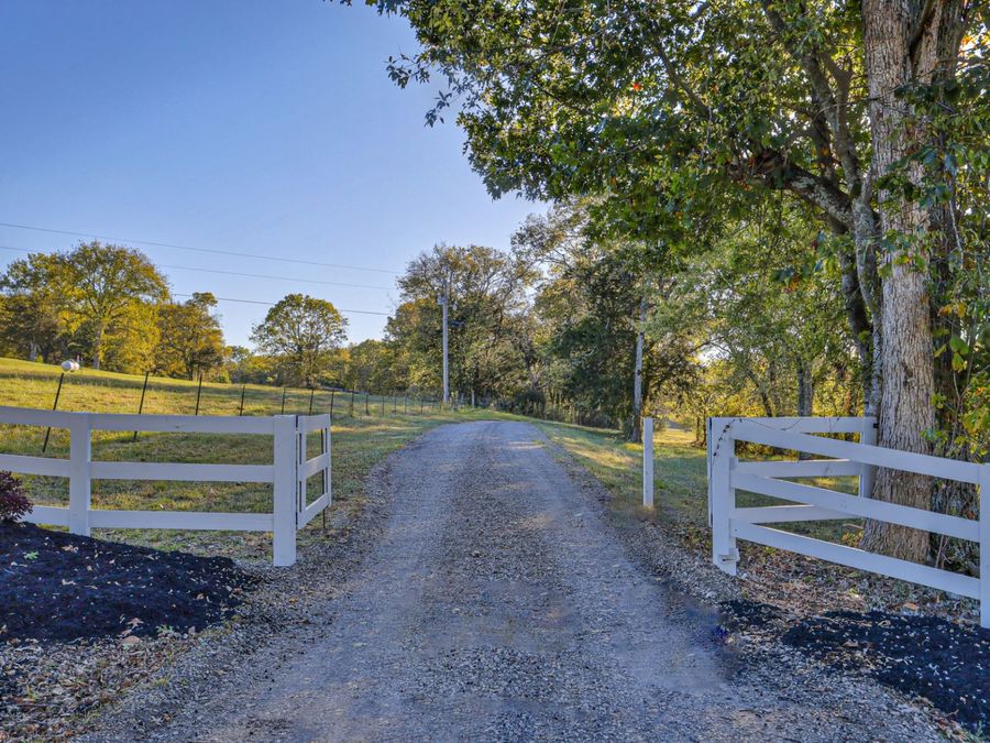 Property Image 61