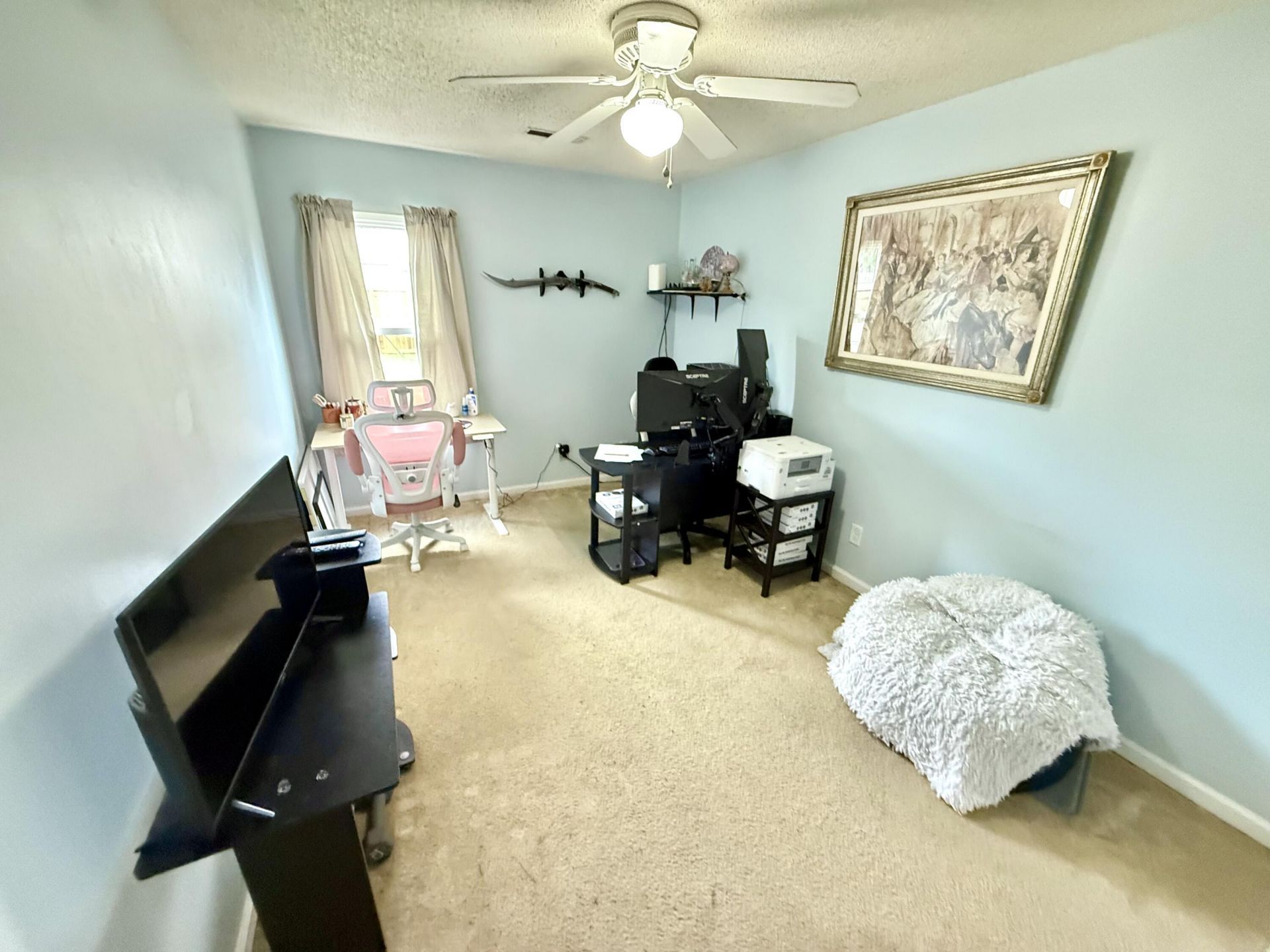 406 Erskine Street Photo 5