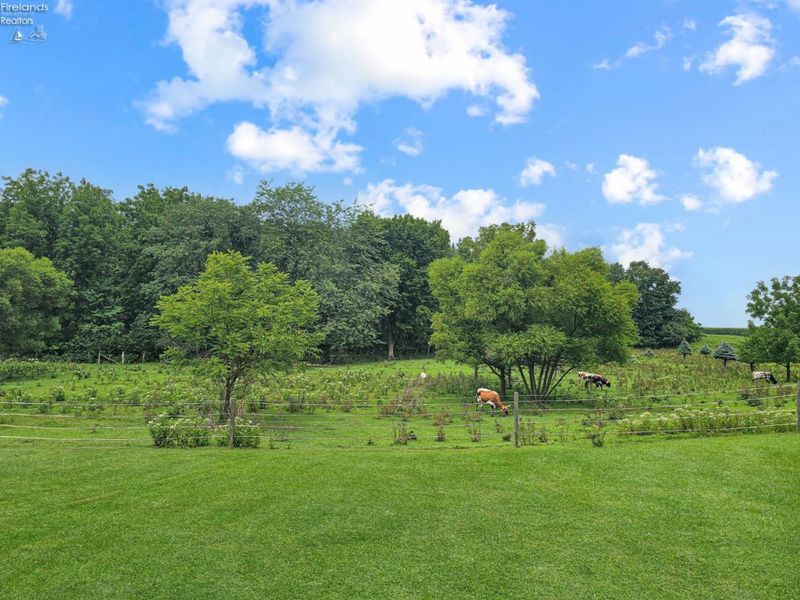 4360 County Road 183, Clyde, OH 43410 Photo 17