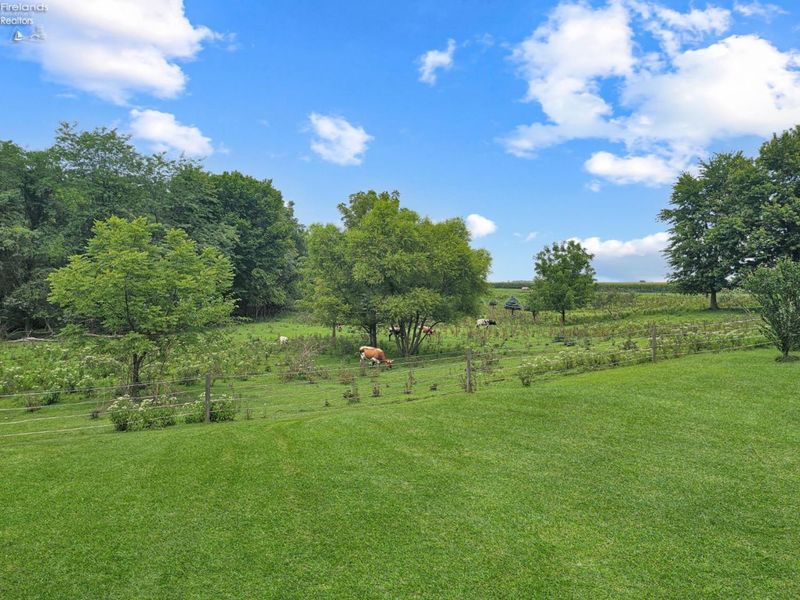 4360 County Road 183, Clyde, OH 43410 Photo 18