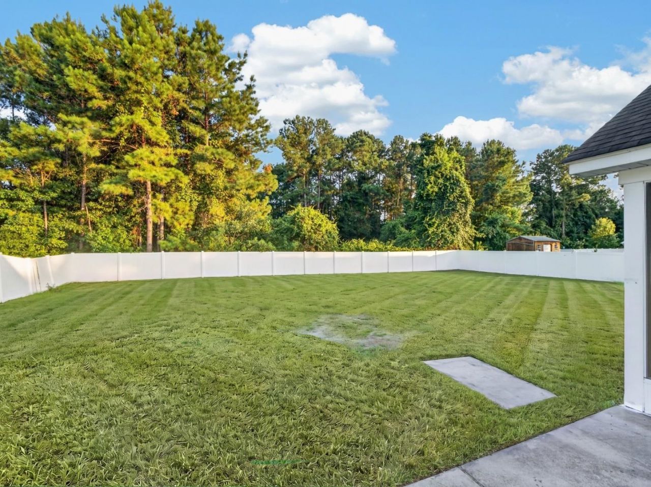 163 Timber Run Dr.  Photo 43