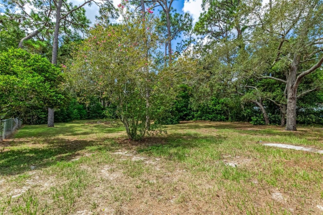 9108 Spring Hill Drive, Spring Hill, FL 34608 Photo