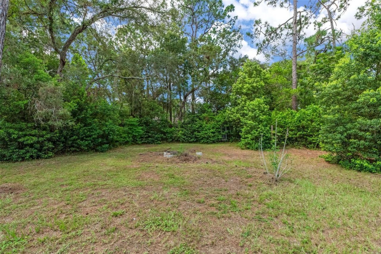 9108 Spring Hill Drive, Spring Hill, FL 34608 Photo