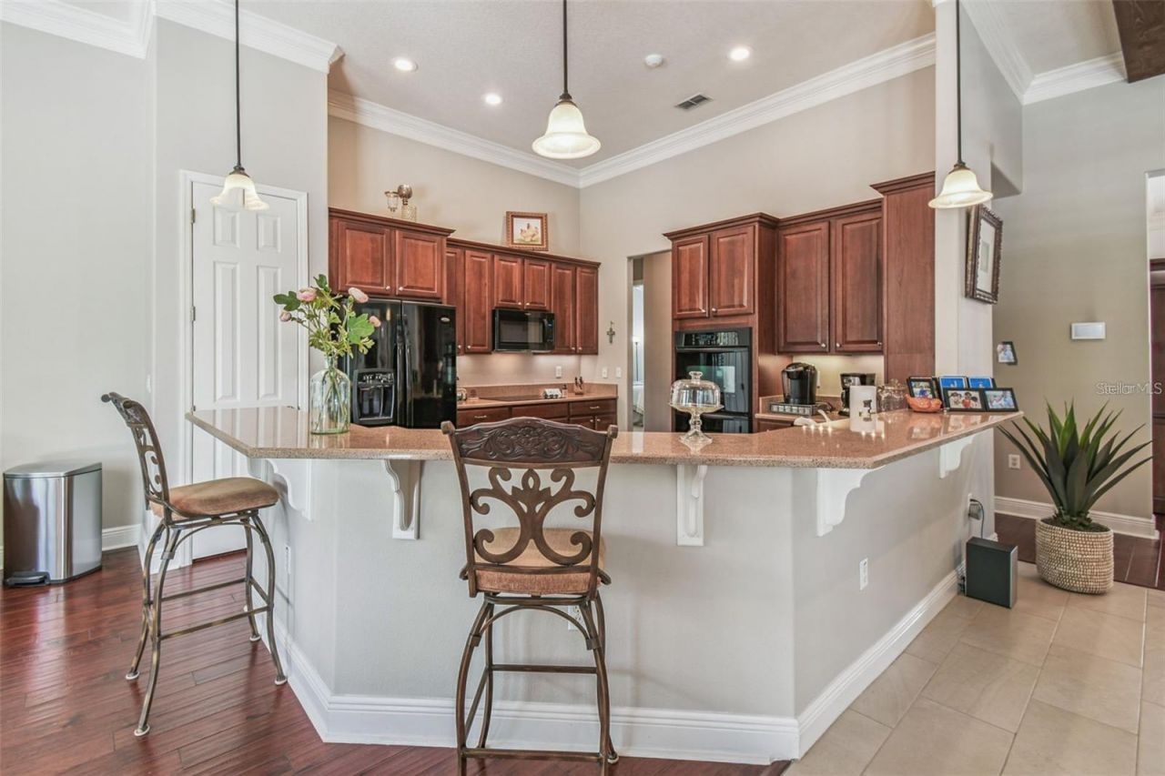 141 Lemon Grove Drive, Kissimmee, FL 34759 Photo