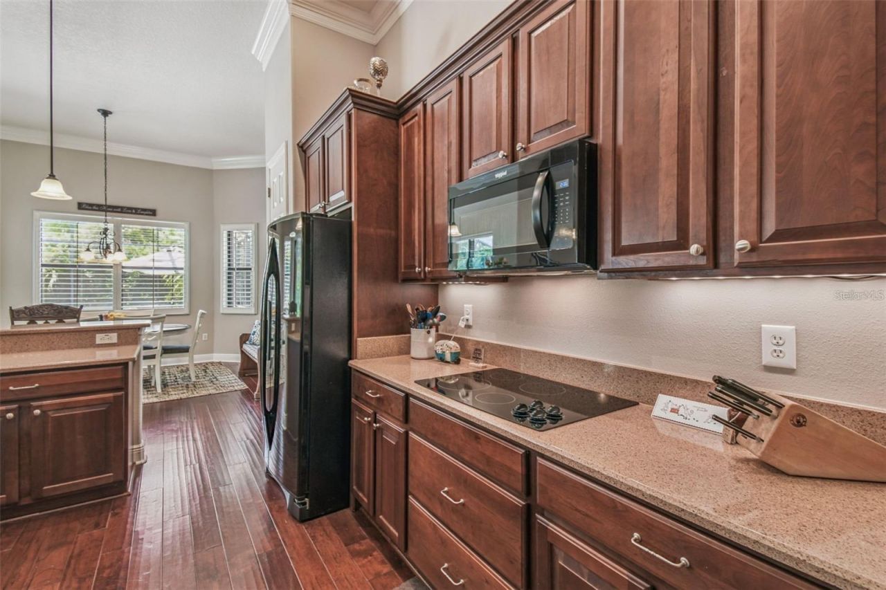 141 Lemon Grove Drive, Kissimmee, FL 34759 Photo