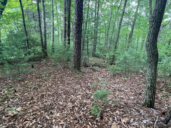 106 Red Mulberry Drive , Zirconia, NC 28790