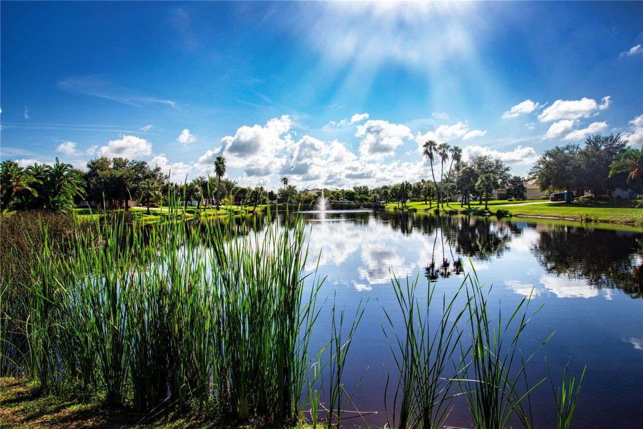 1929 24th Street Circle W, Palmetto, FL 34221 Photo