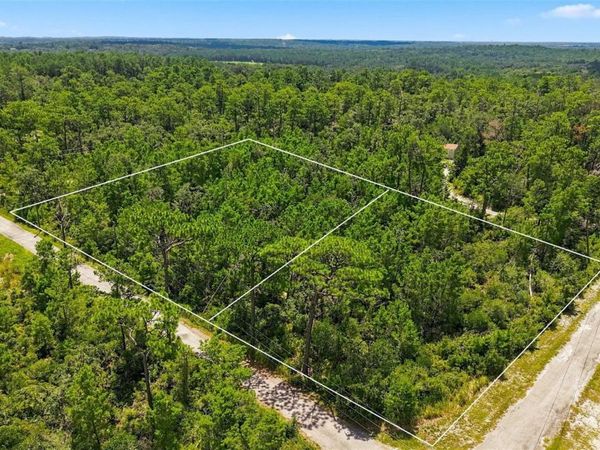 0 LANIER (LOT 2) AVENUE , BROOKSVILLE, FL 34604