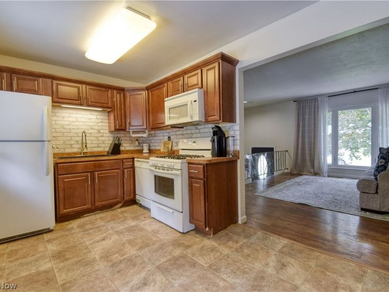 502 Roosevelt Drive , Geneva, OH 44041 Photo 19