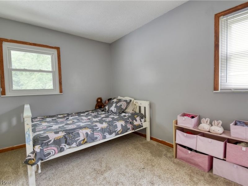 502 Roosevelt Drive , Geneva, OH 44041 Photo 21