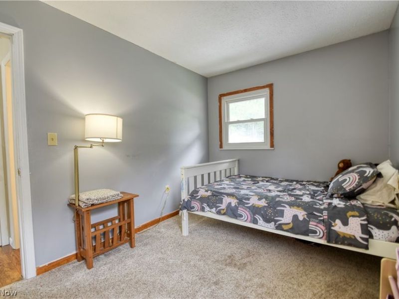 502 Roosevelt Drive , Geneva, OH 44041 Photo 22