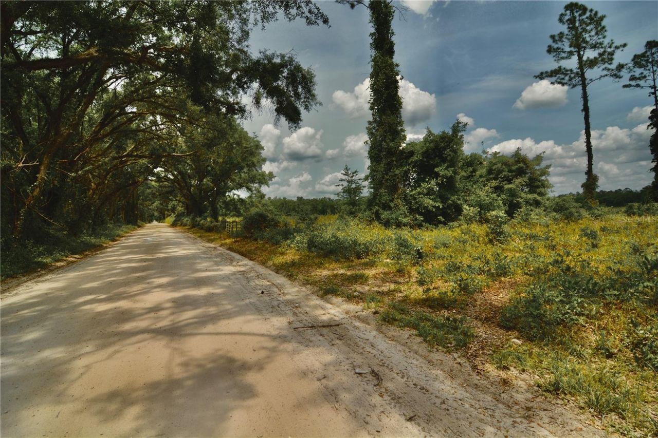 00 99th Lane, Live Oak, FL 32060 Photo