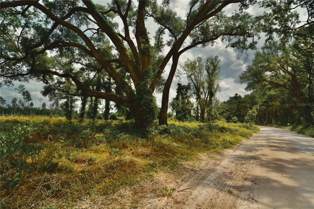 00 99th Lane, Live Oak, FL 32060 Photo