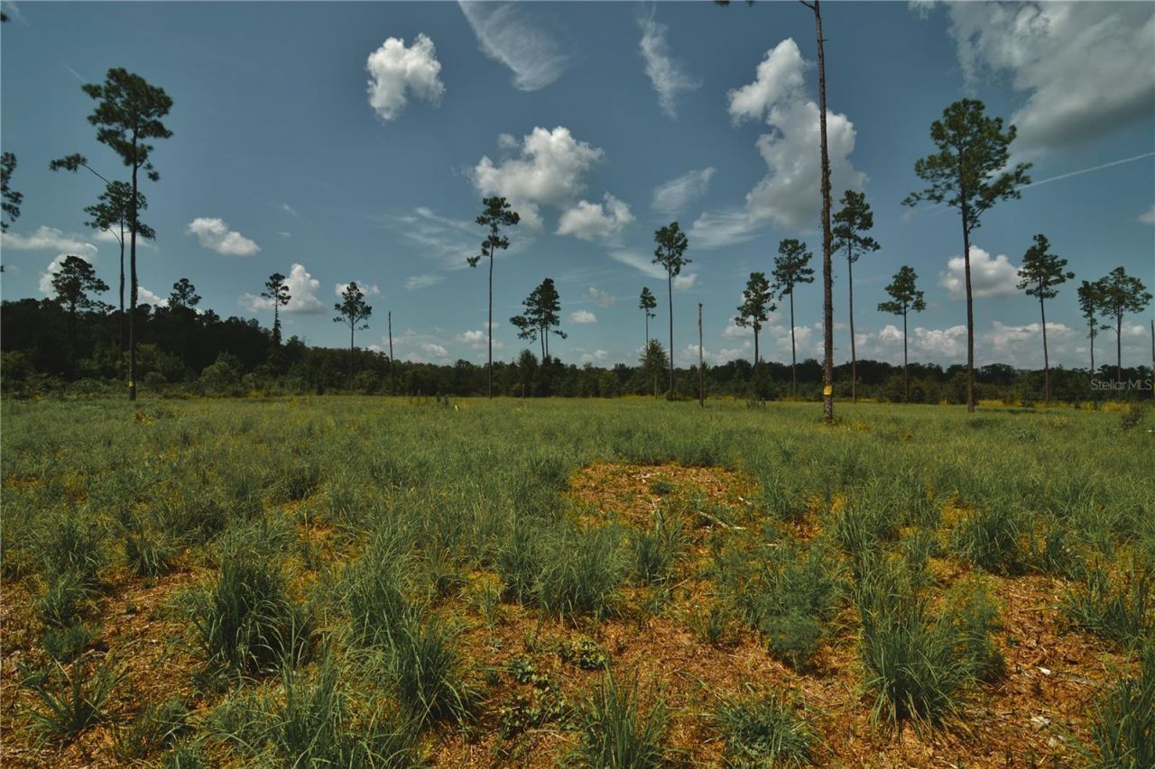 00 99th Lane, Live Oak, FL 32060 Photo