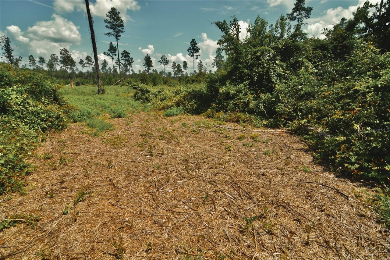 00 99th Lane, Live Oak, FL 32060 Photo