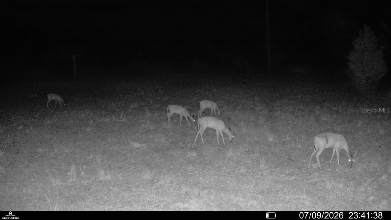 00 99th Lane, Live Oak, FL 32060 Photo