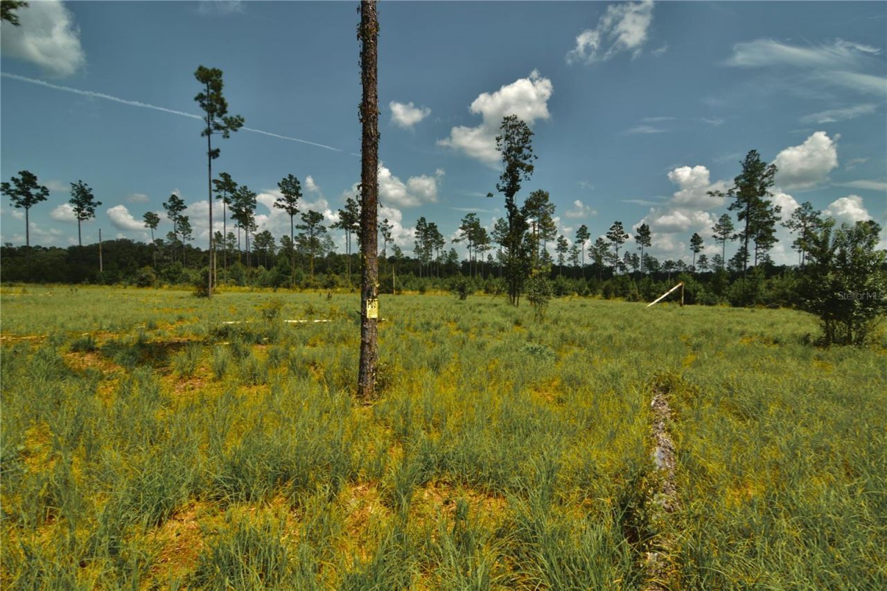 00 99th Lane, Live Oak, FL 32060 Photo