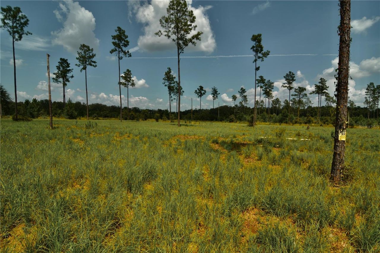 00 99th Lane, Live Oak, FL 32060 Photo