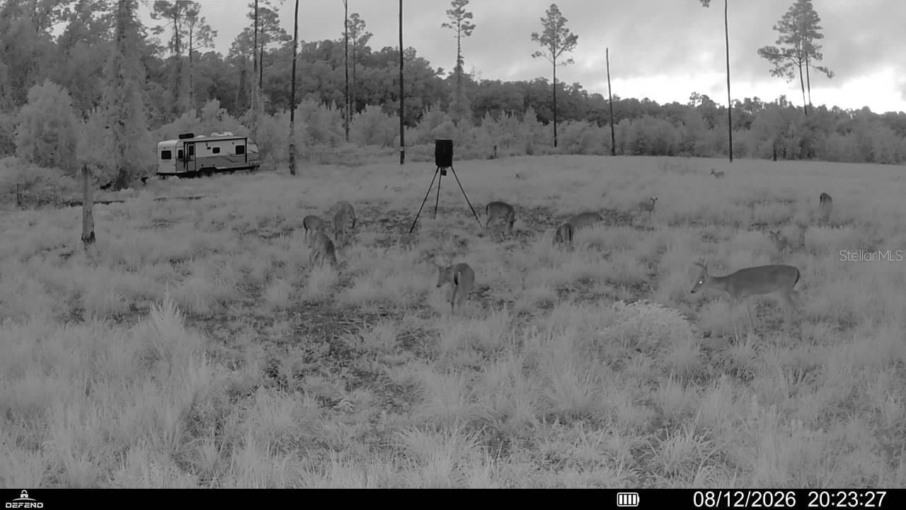 00 99th Lane, Live Oak, FL 32060 Photo