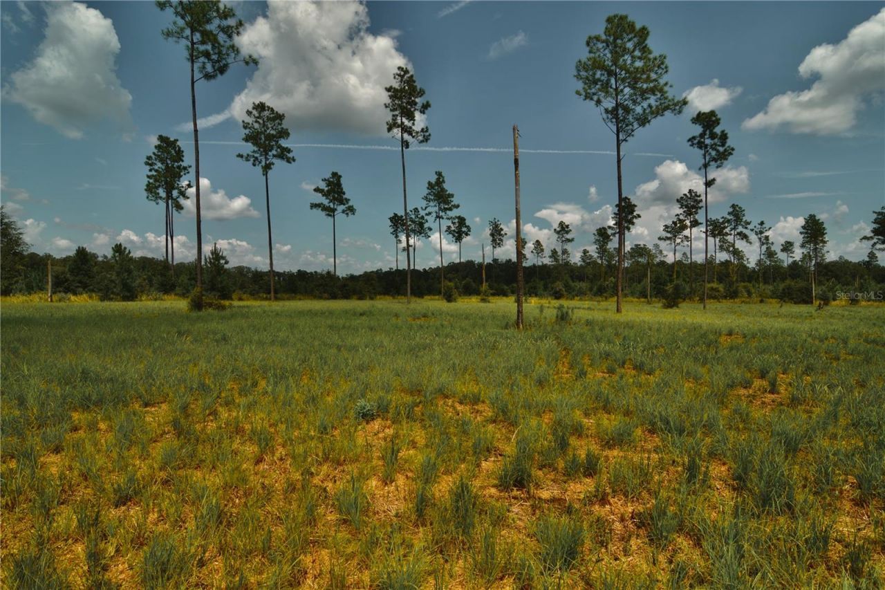 00 99th Lane, Live Oak, FL 32060 Photo