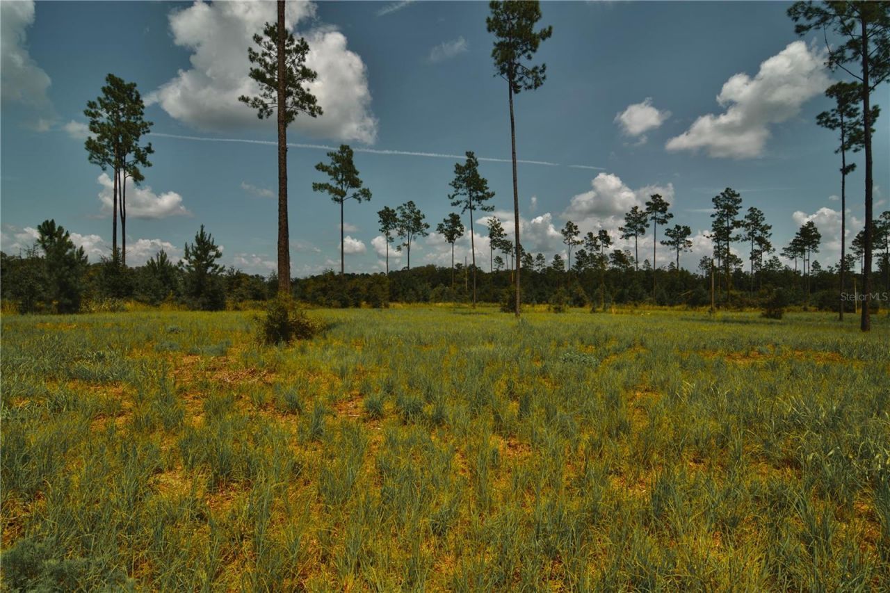 00 99th Lane, Live Oak, FL 32060 Photo