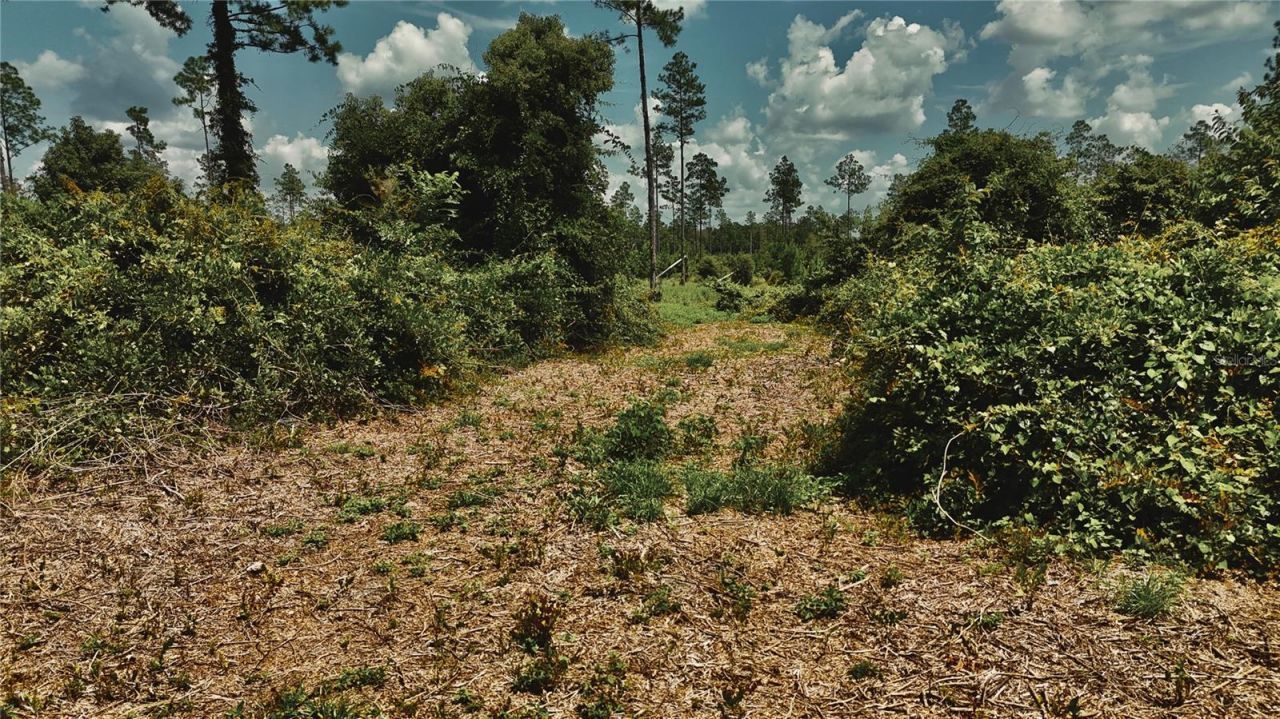 00 99th Lane, Live Oak, FL 32060 Photo