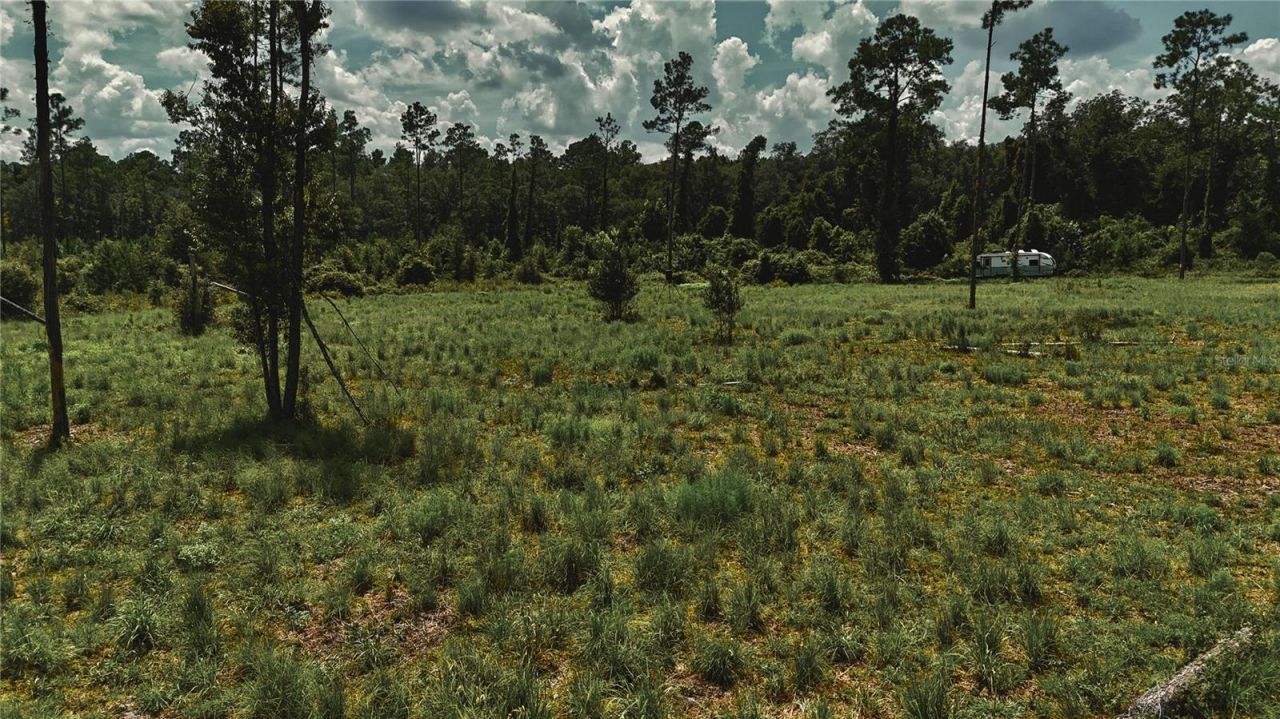 00 99th Lane, Live Oak, FL 32060 Photo