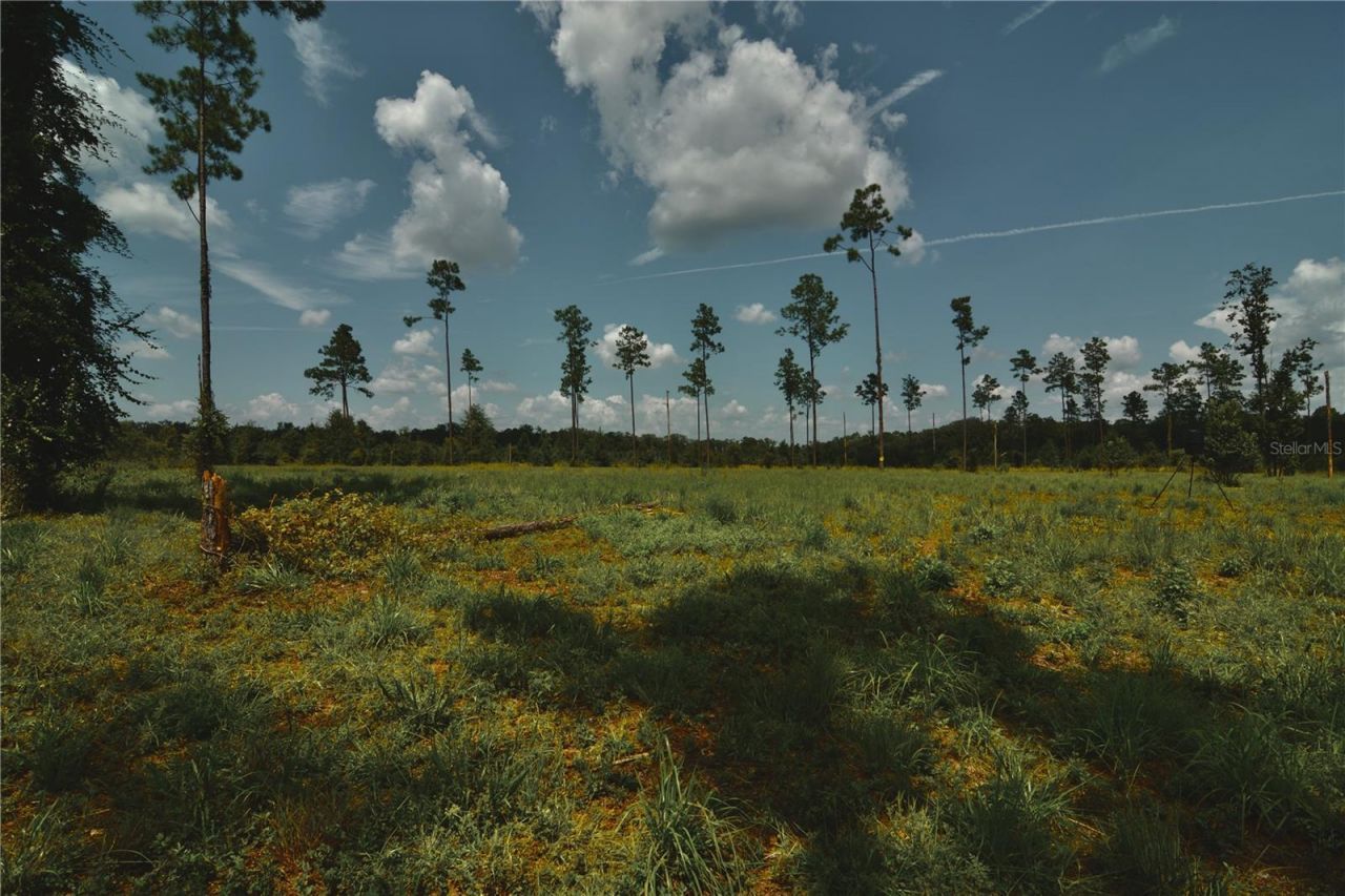 00 99th Lane, Live Oak, FL 32060 Photo