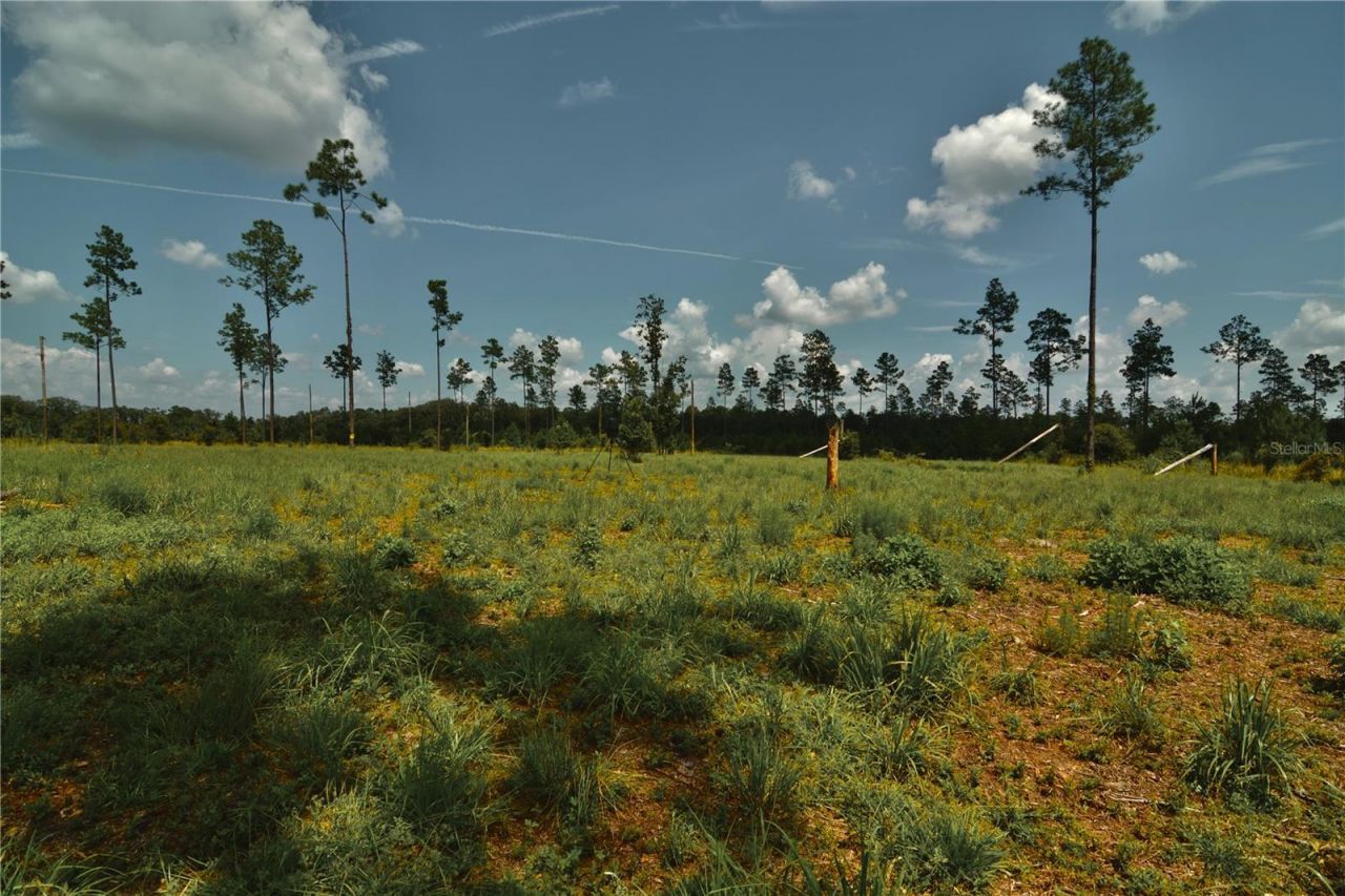 00 99th Lane, Live Oak, FL 32060 Photo