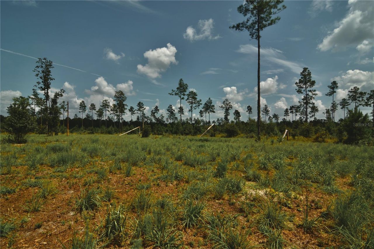 00 99th Lane, Live Oak, FL 32060 Photo