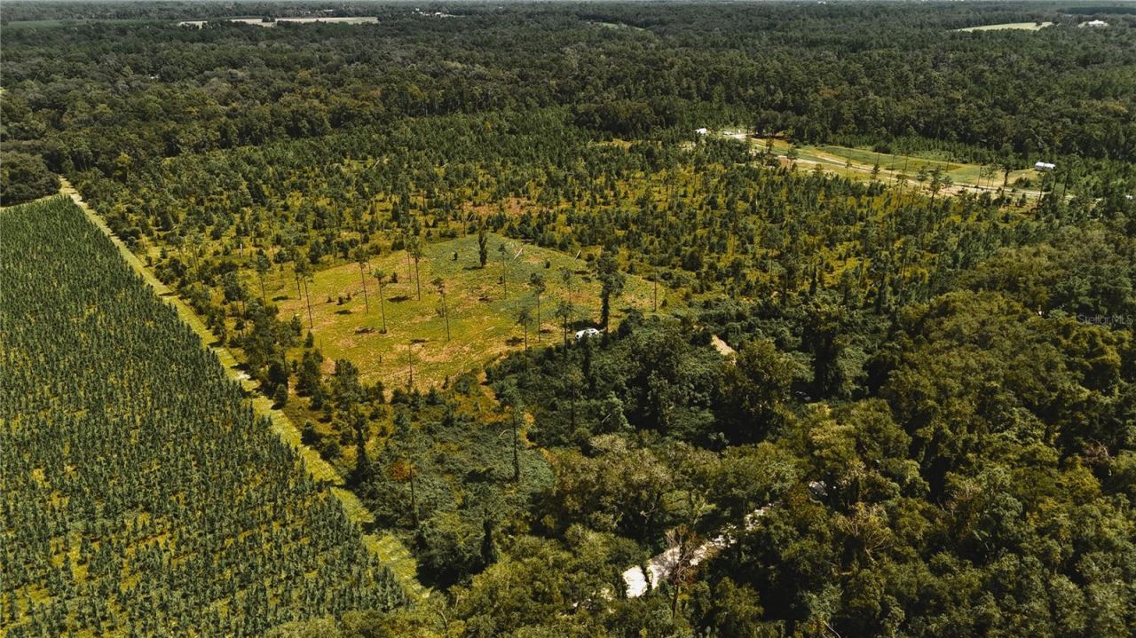 00 99th Lane, Live Oak, FL 32060 Photo