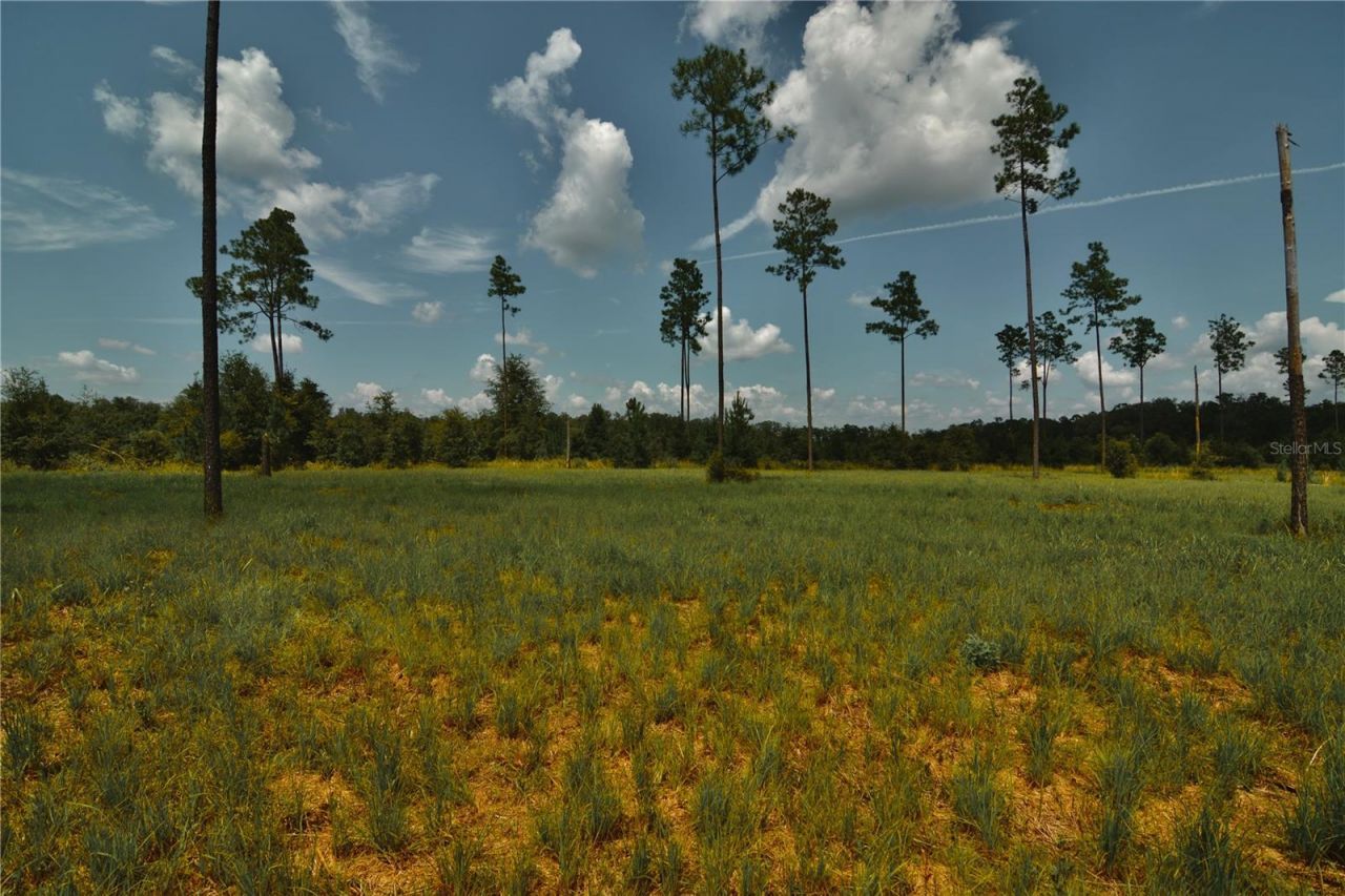 00 99th Lane, Live Oak, FL 32060 Photo