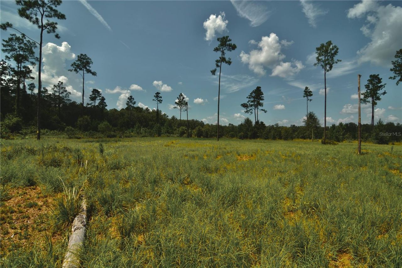 00 99th Lane, Live Oak, FL 32060 Photo